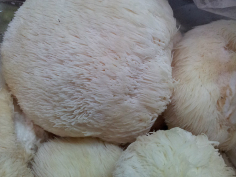 ��ͷ������������