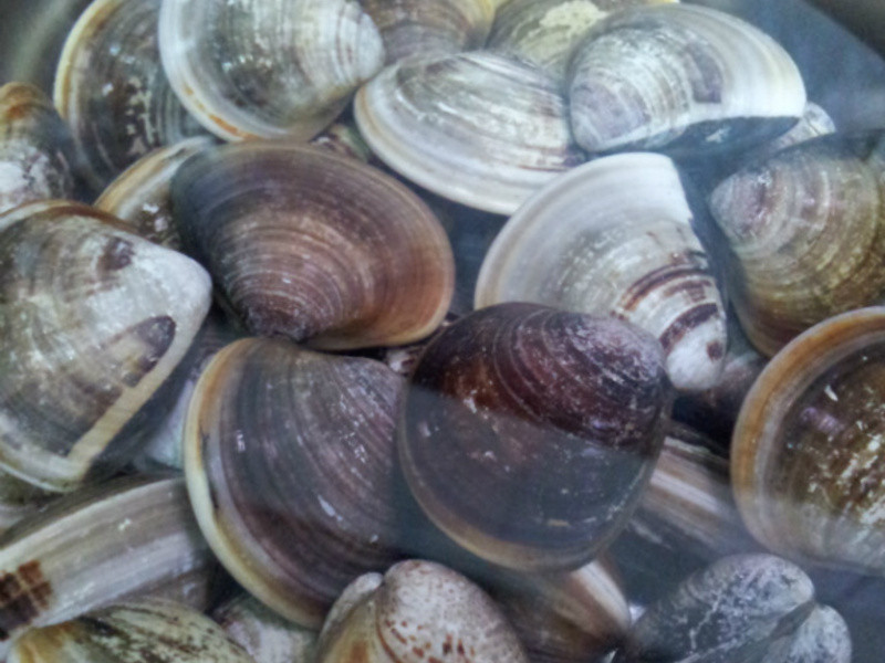 ��ͷ������������