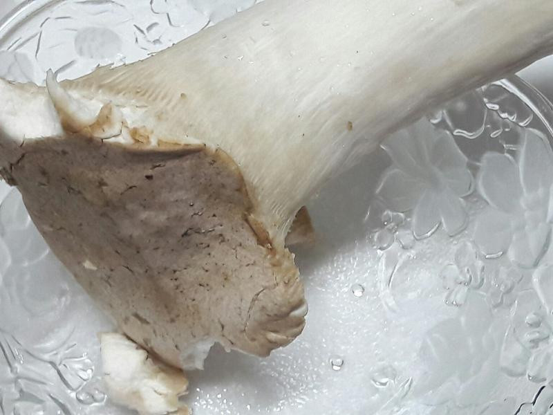 ������ζ�ͷ�������