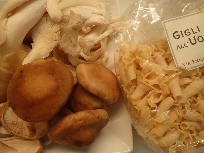 �ȱ�����������������