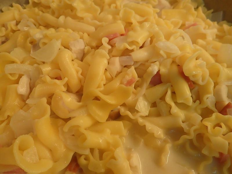 �ȱ�����������������