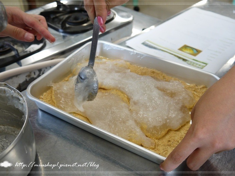 ��ʽ����ާ��������