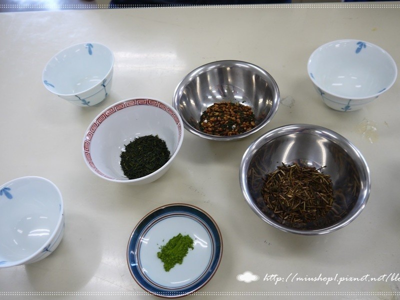 ��ʽ����ާ��������