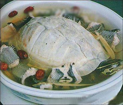 ���ߴ���������