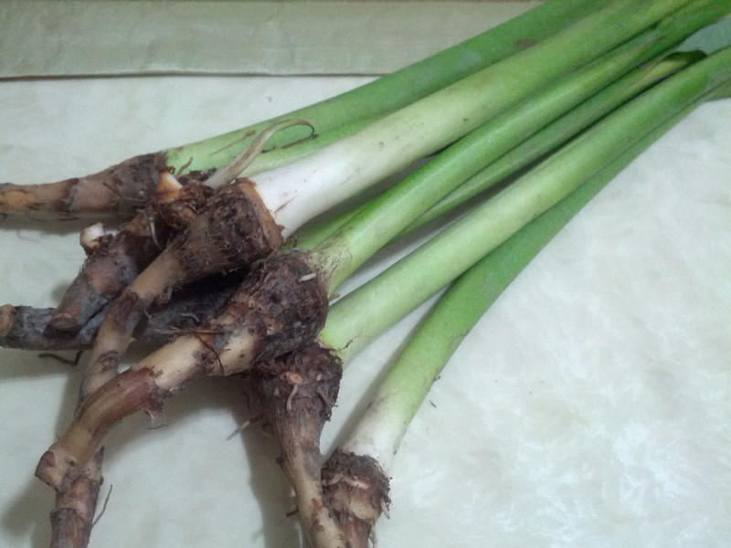 ���꽴���󾥵�����