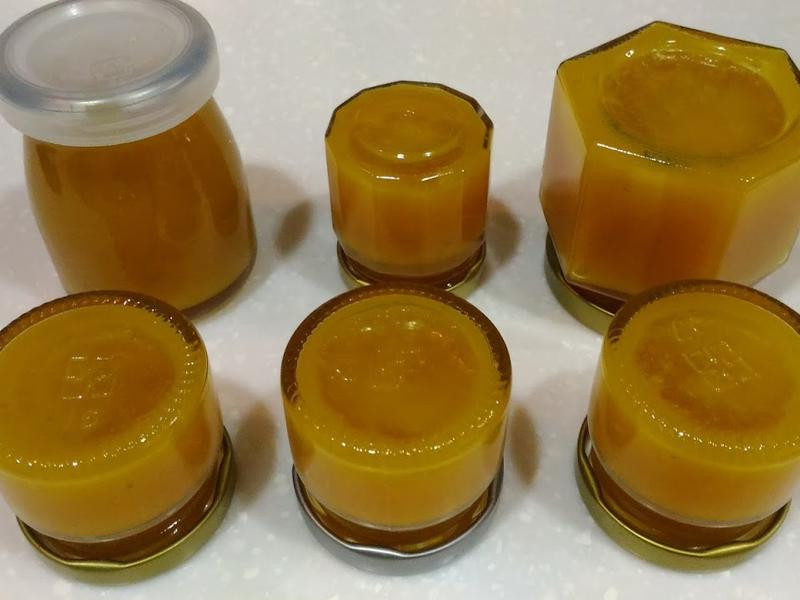 ����â������������