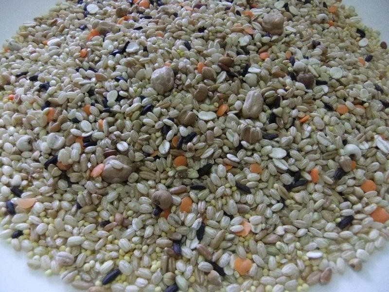 ������������������