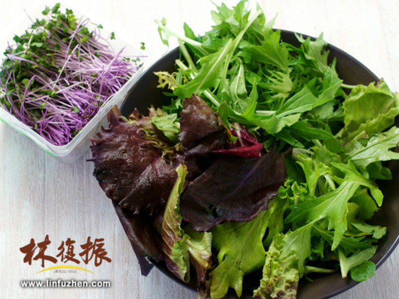 ��ʽ�ɱ���ɳ�� Salade ti��de������