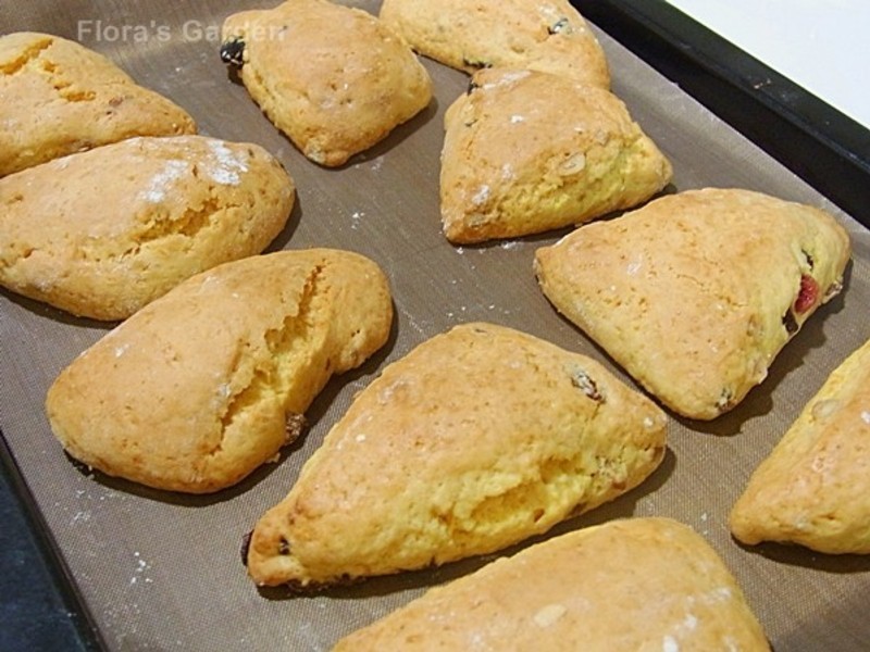 ����--�ɱ�����˾��������