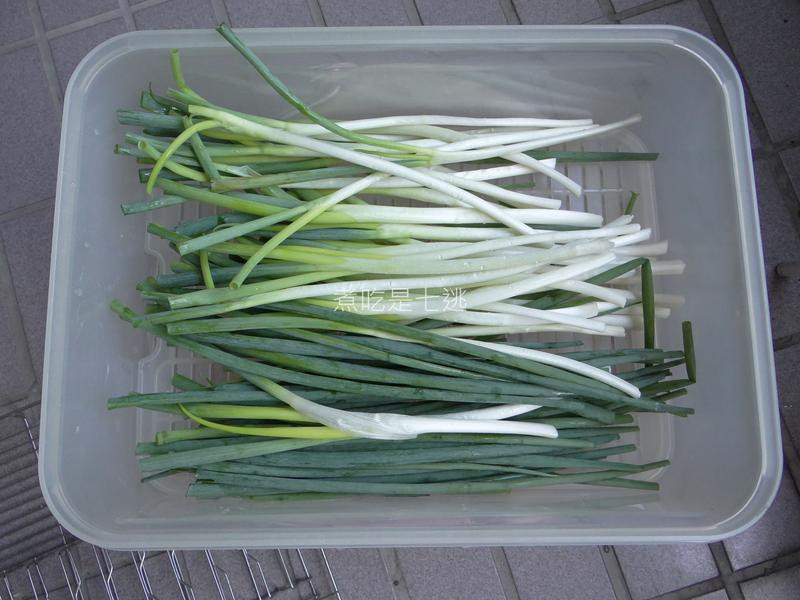 ����ζ�������������