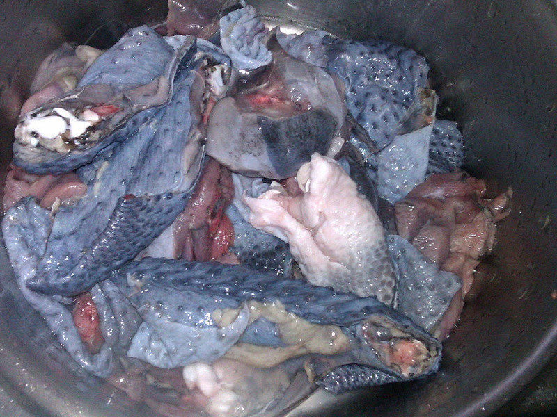 �����ڹǼ���������������