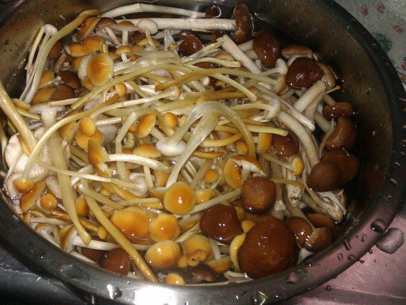 �����ڹǼ���������������