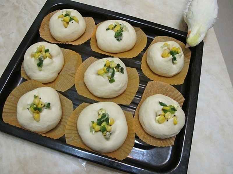 �������������決չʳ��ļ��������