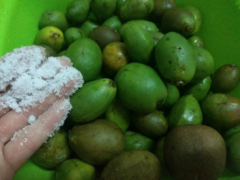 ÷��ʲ��Z��魵�����