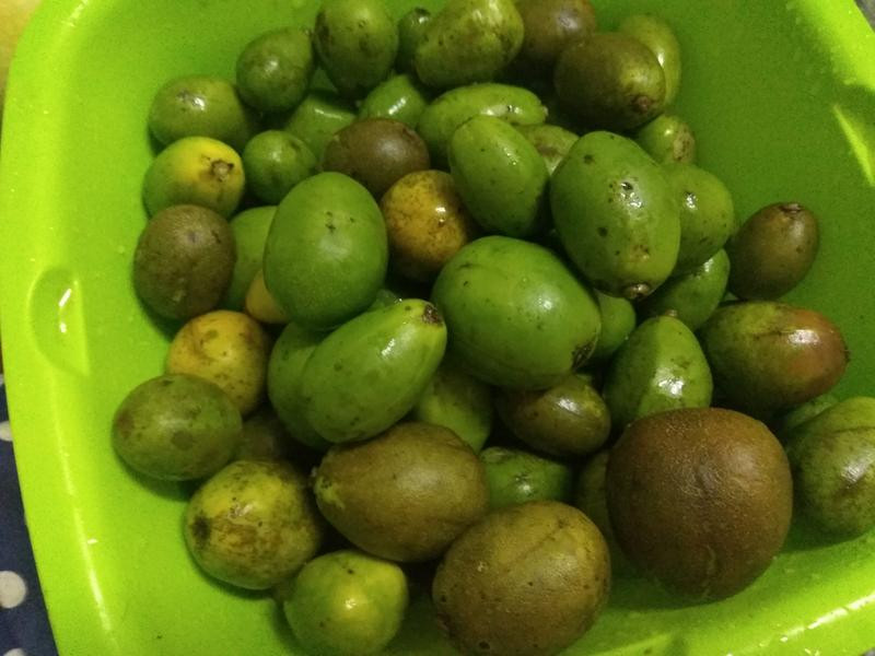 ÷��ʲ��Z��魵�����