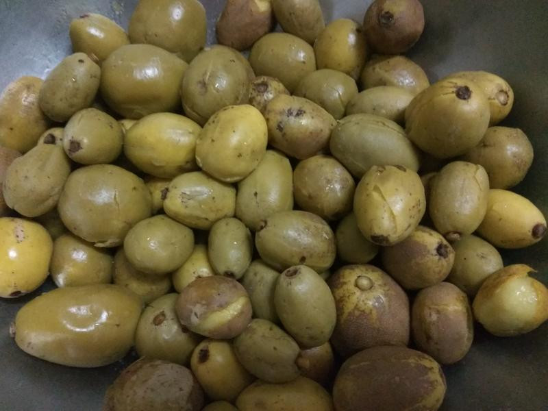 ÷��ʲ��Z��魵�����