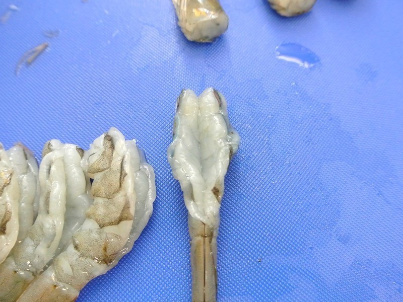 ��ζ���Ϳ�Ϻ������