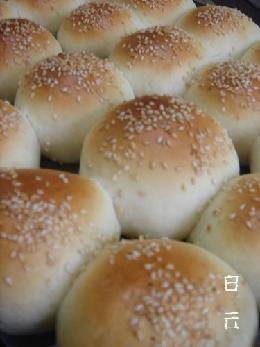 ���ֶ�ɳ��������