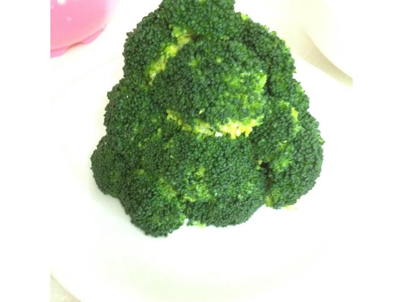 ��Ҭ��ʥ����������