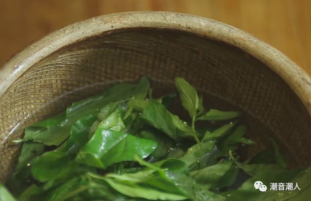 ���Ҷ������������