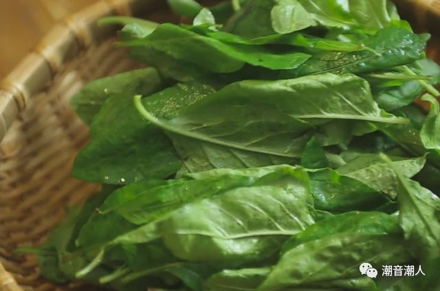 ���Ҷ������������