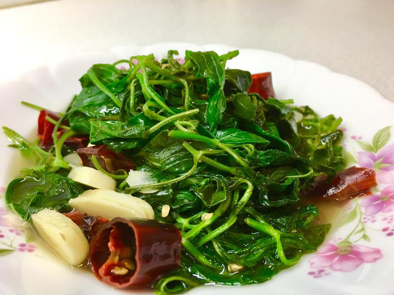 ���ͳ����Ҷ������