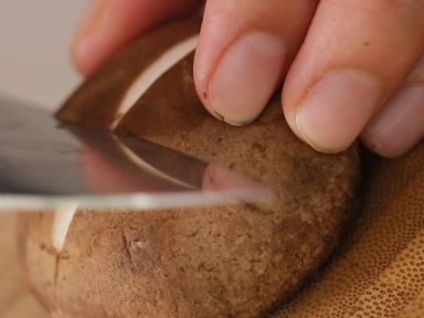 ���������� [3-4�˷�]������