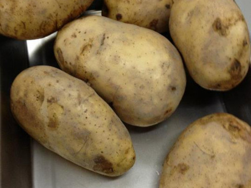 ����ʱ������С��ը���飨4�˷ݣ�������