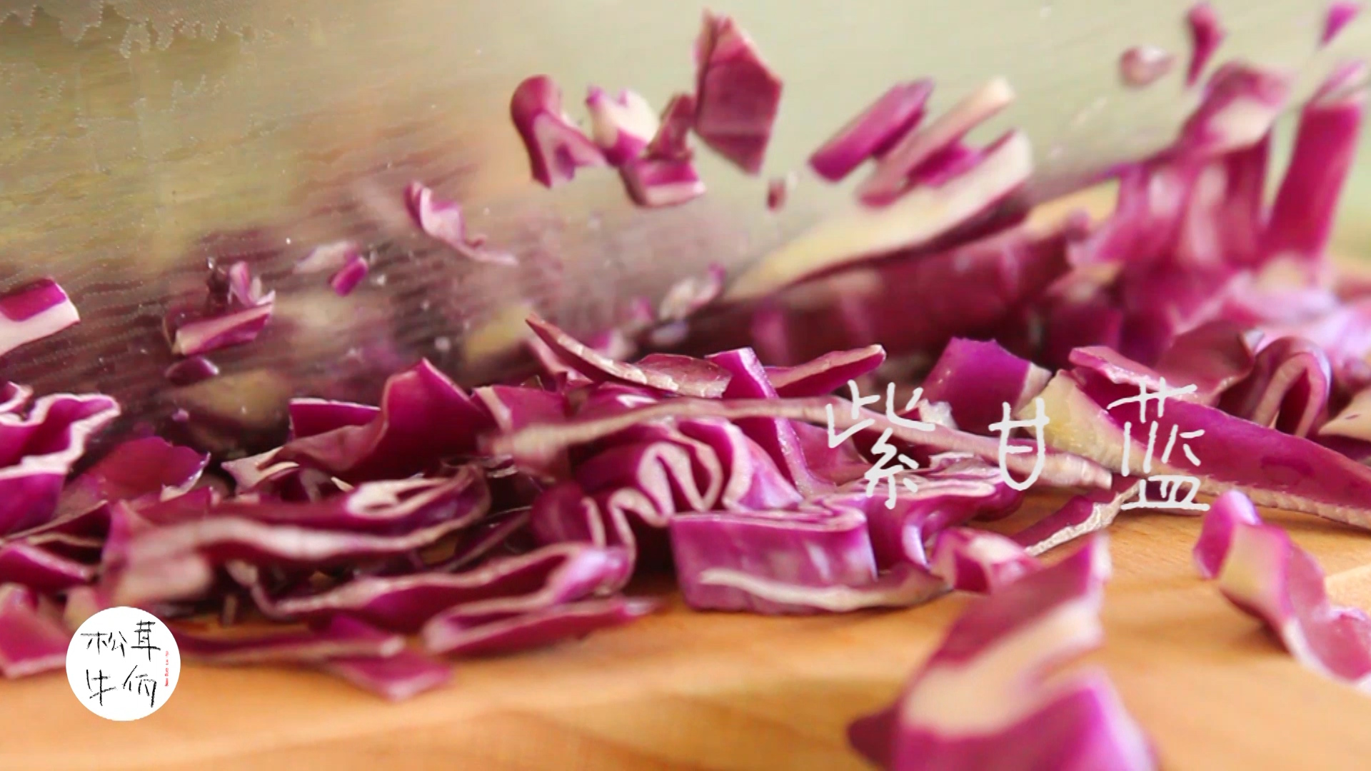 ��ʽ���׵�����ţ������ʳ�׵�����