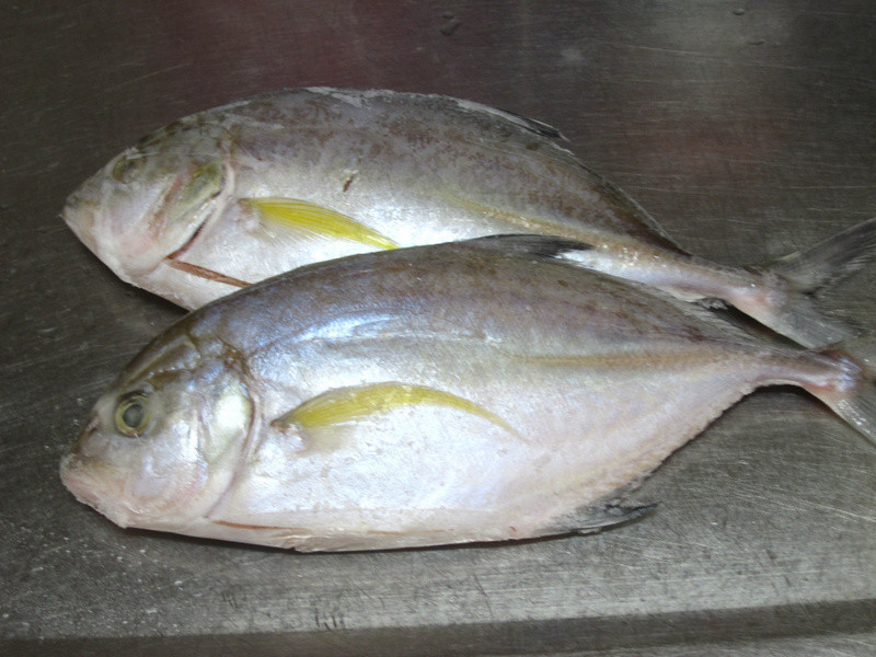 �ļ����������