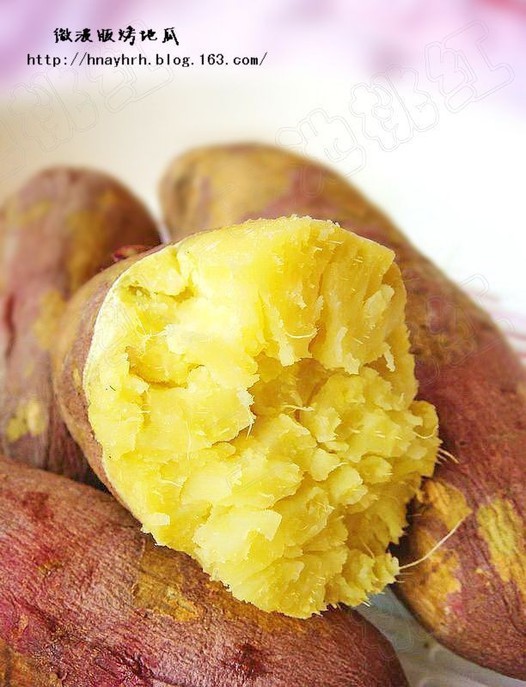 ���عϵ�����