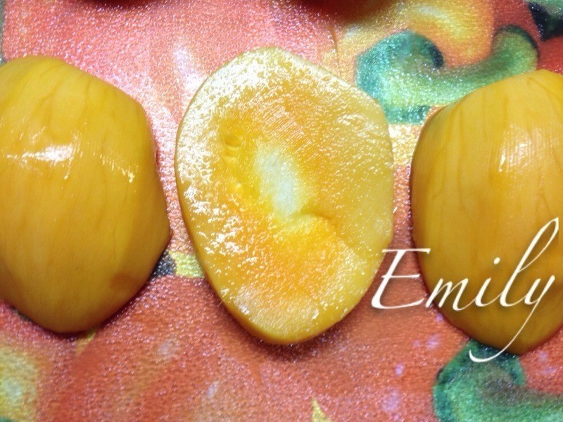 DIY���ʰ���â������������