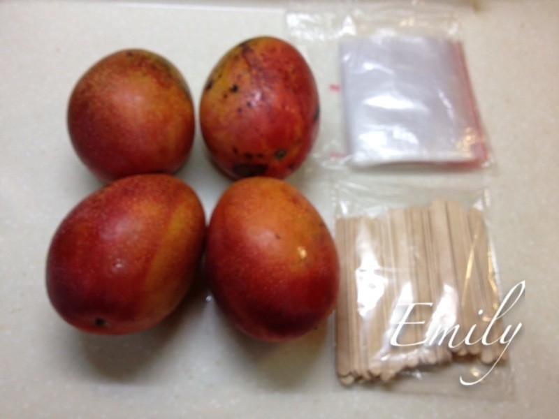 DIY���ʰ���â������������