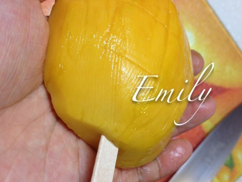 DIY���ʰ���â������������