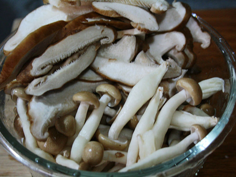 �����ۼ�����������������