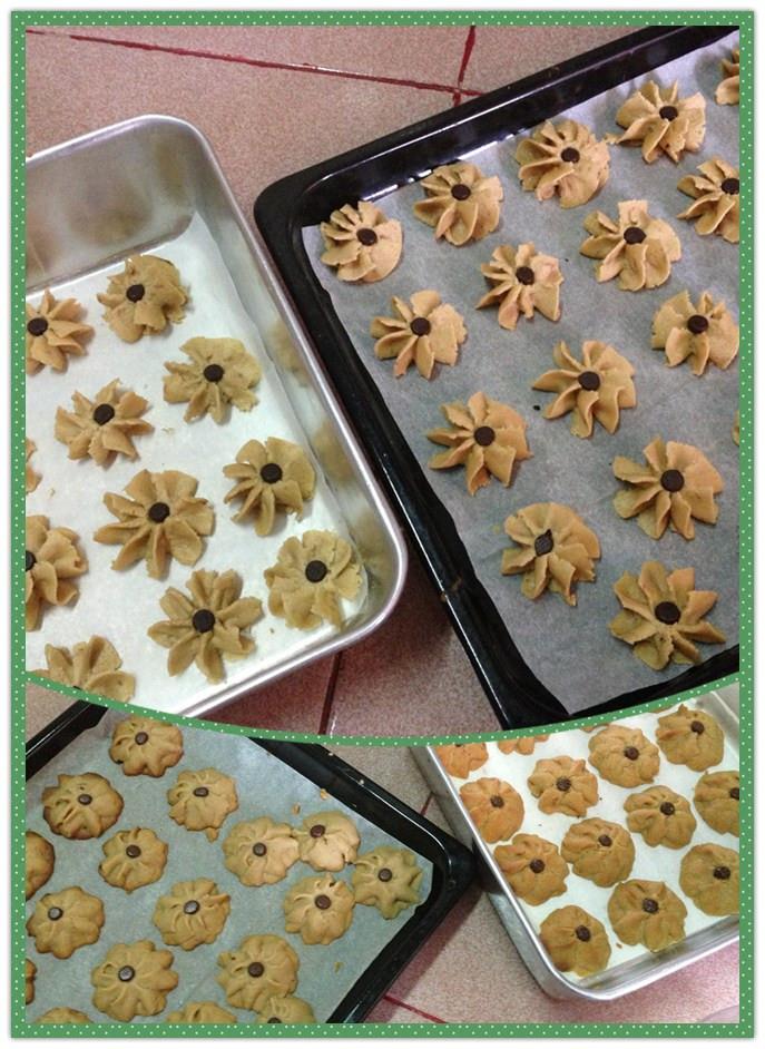 ����ţ�����������