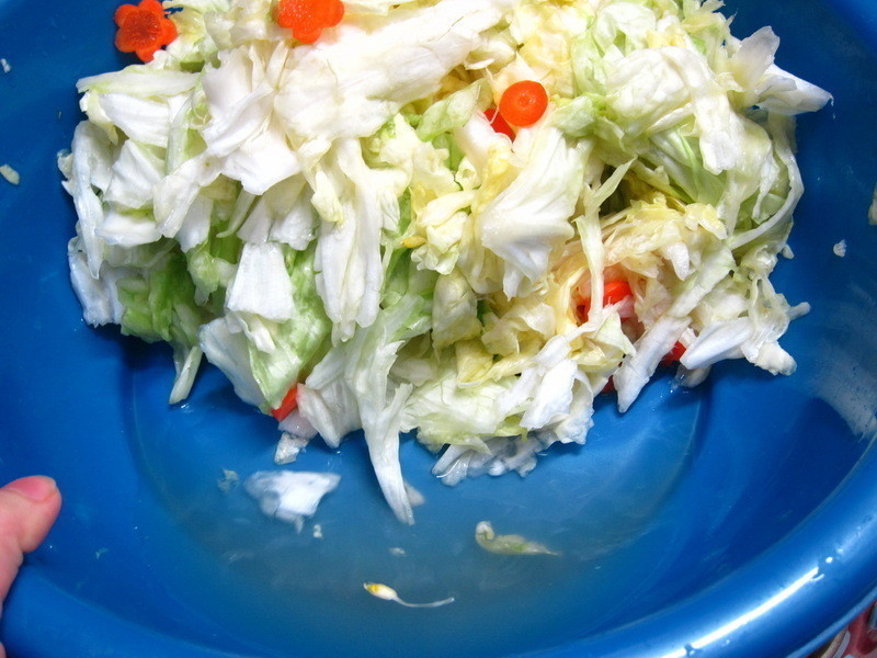 �ݲ˳�����������