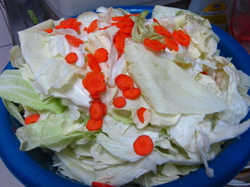 �ݲ˳�����������