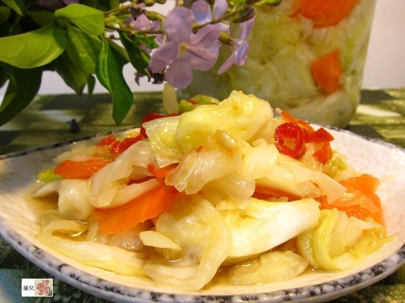 �ݲ˳�����������