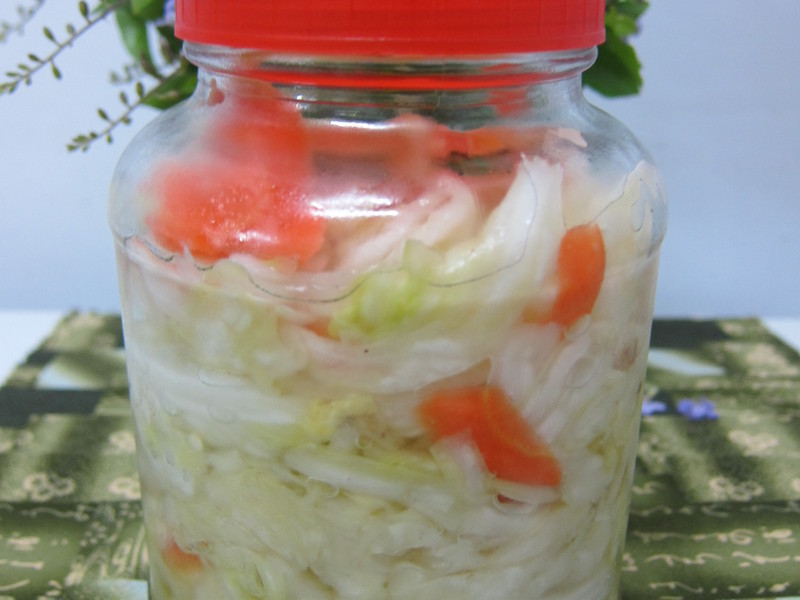 �ݲ˳�����������