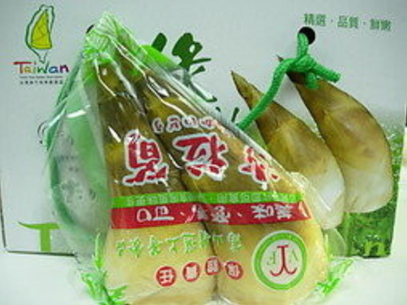 ��ʽ�����񶡵�����