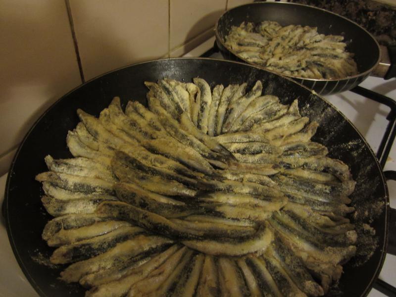 ������� Hamsi Tavasi������