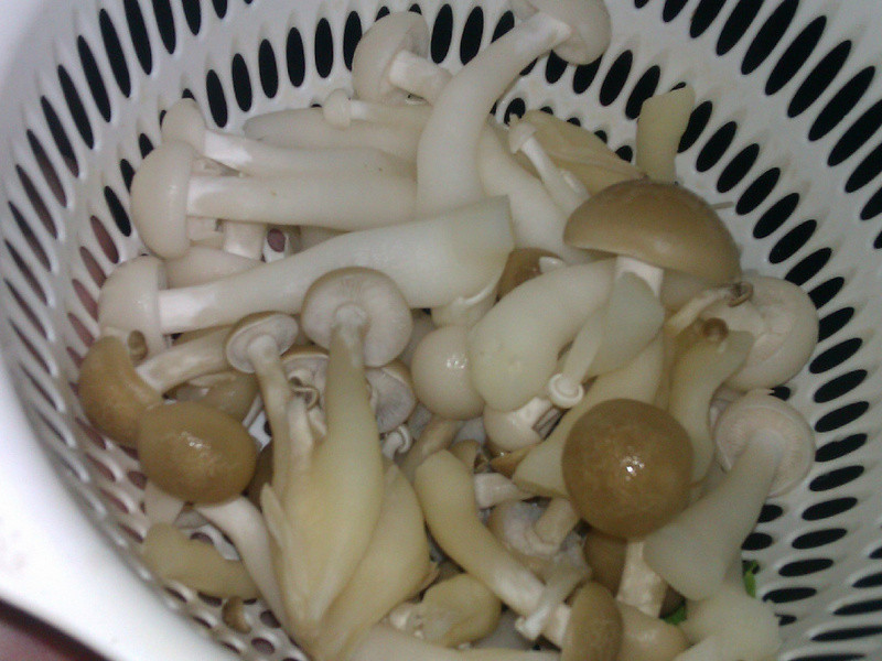 ���ù�����idea���Ϲ������ܲ�������������