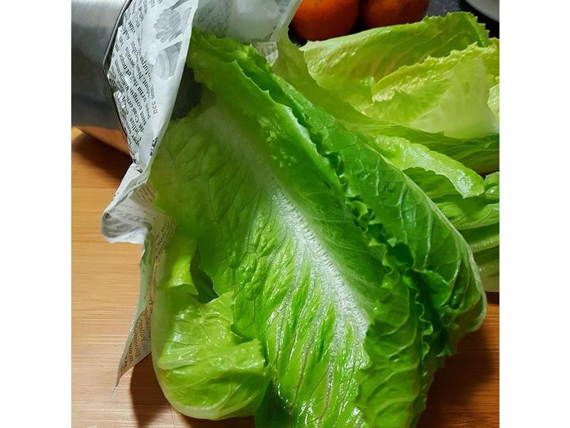 ��ʽ��ţ�˰��������