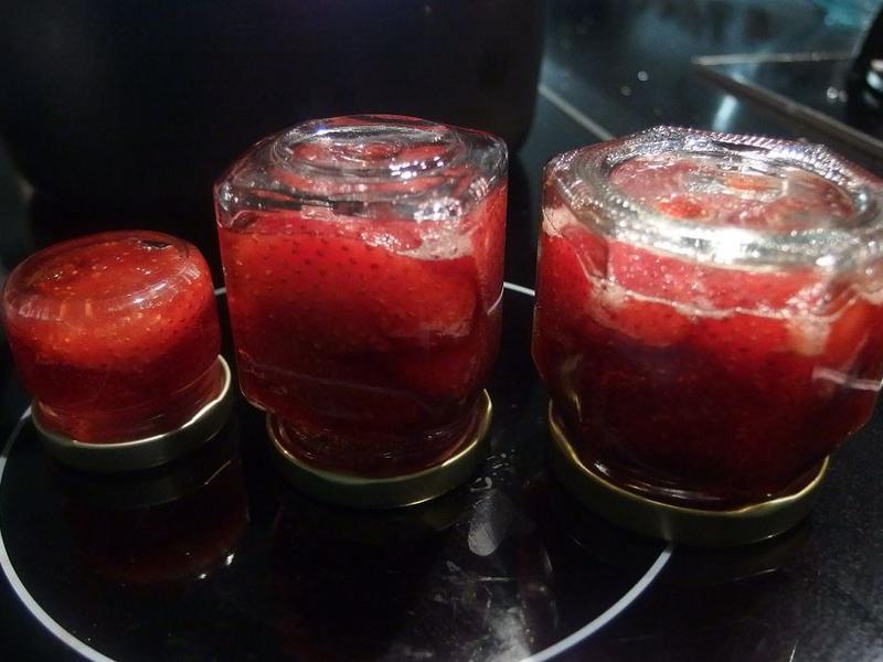 �����Ʋ�ݮ����������