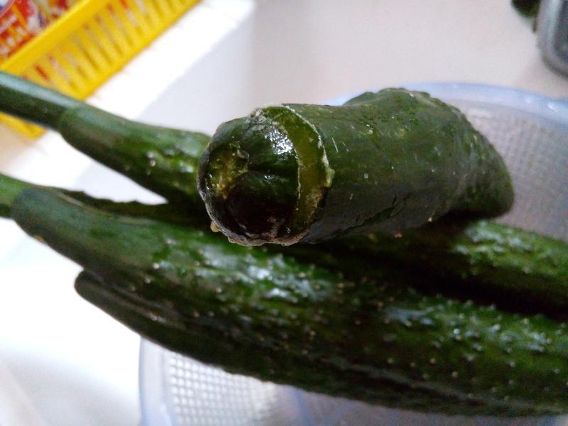 ̩������ ��ϵ�����