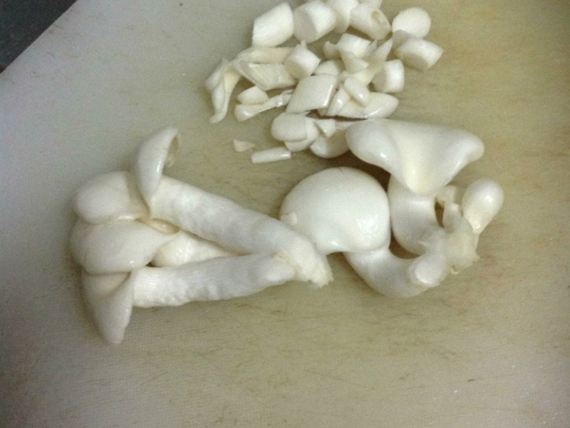 ��ѩ������������