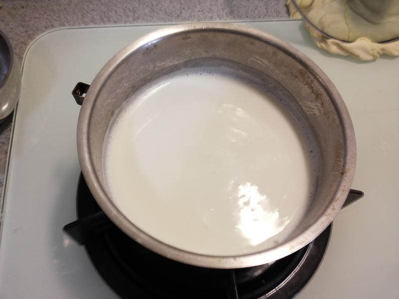 ����ţ��ѩ���������