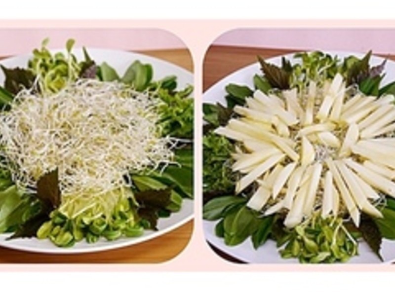 ��������ɳ���̵�����