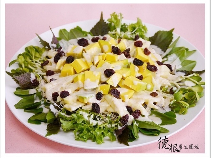 ��������ɳ���̵�����